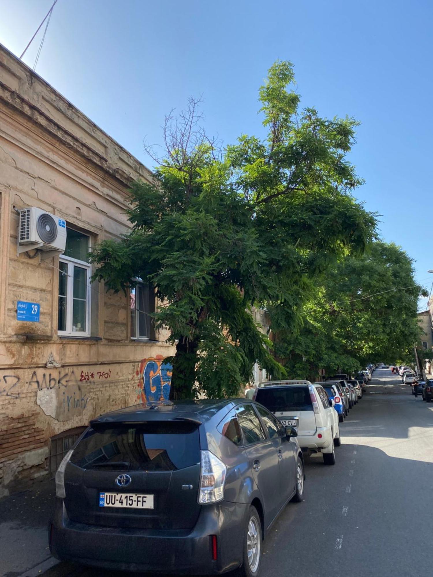 Old Tbilisi City Center, Two - Room Apartment Exteriér fotografie